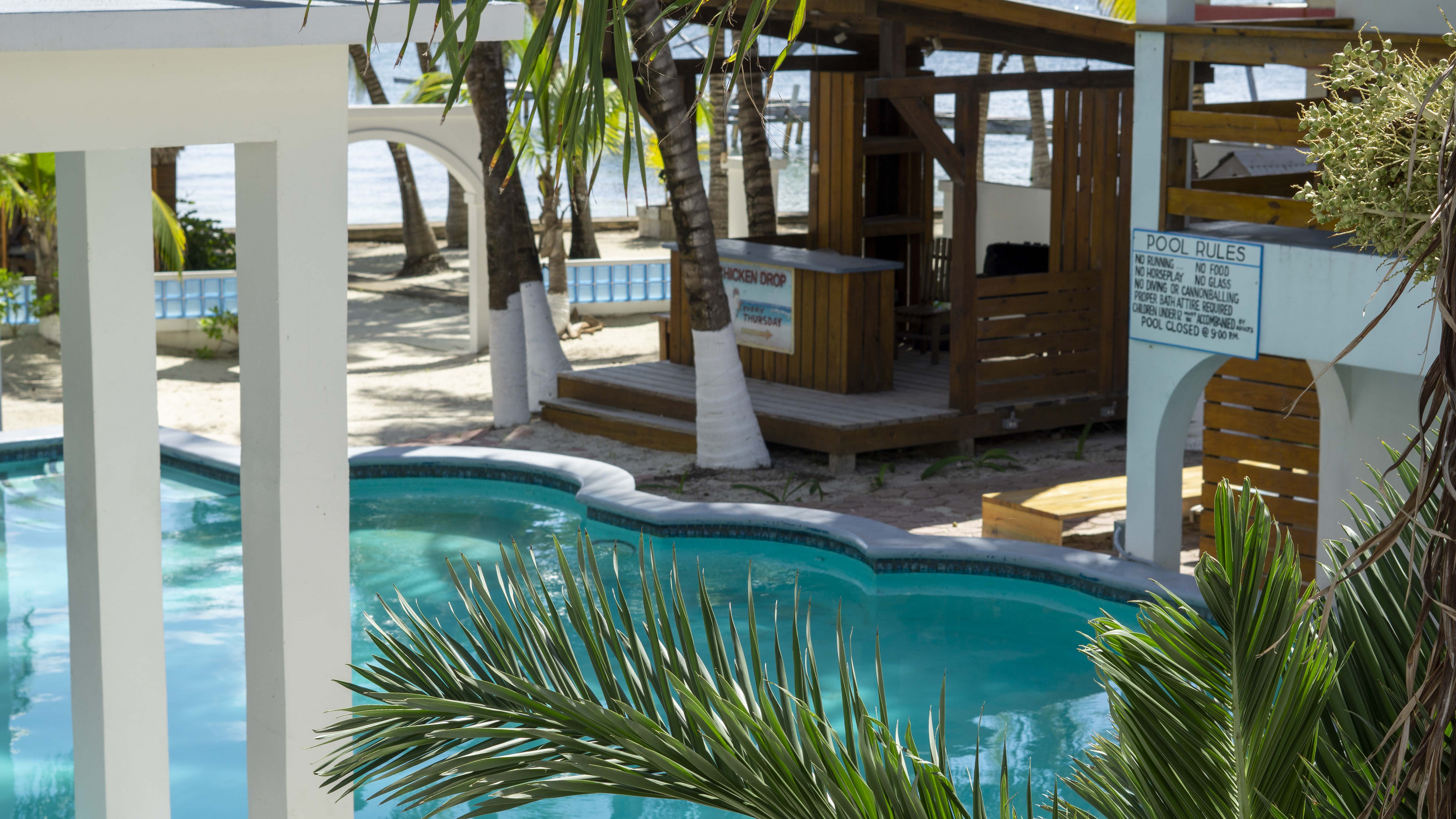 A serene poolside view of a tropical resort, with palm trees, and the ocean visible in the background, under clear skies.