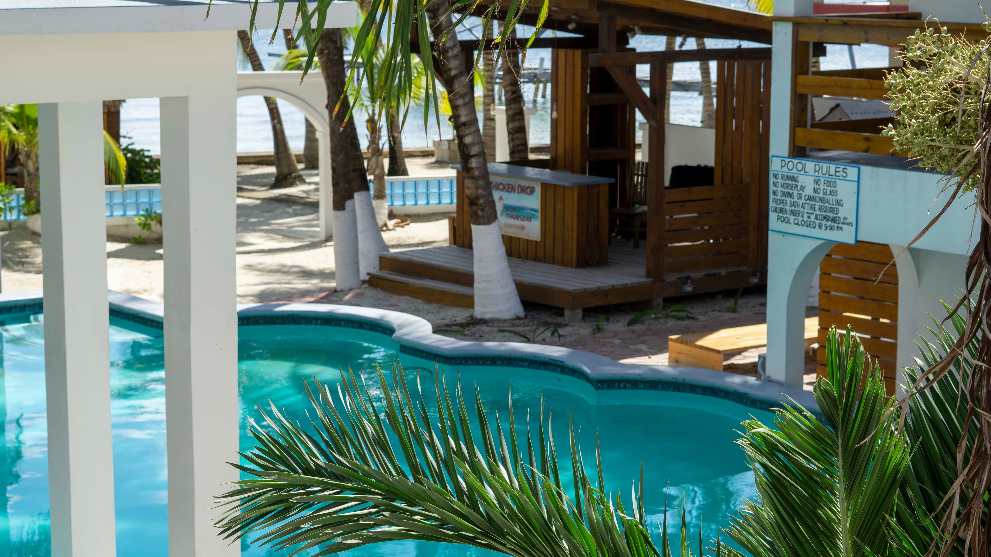 A serene poolside view of a tropical resort, with palm trees, and the ocean visible in the background, under clear skies.