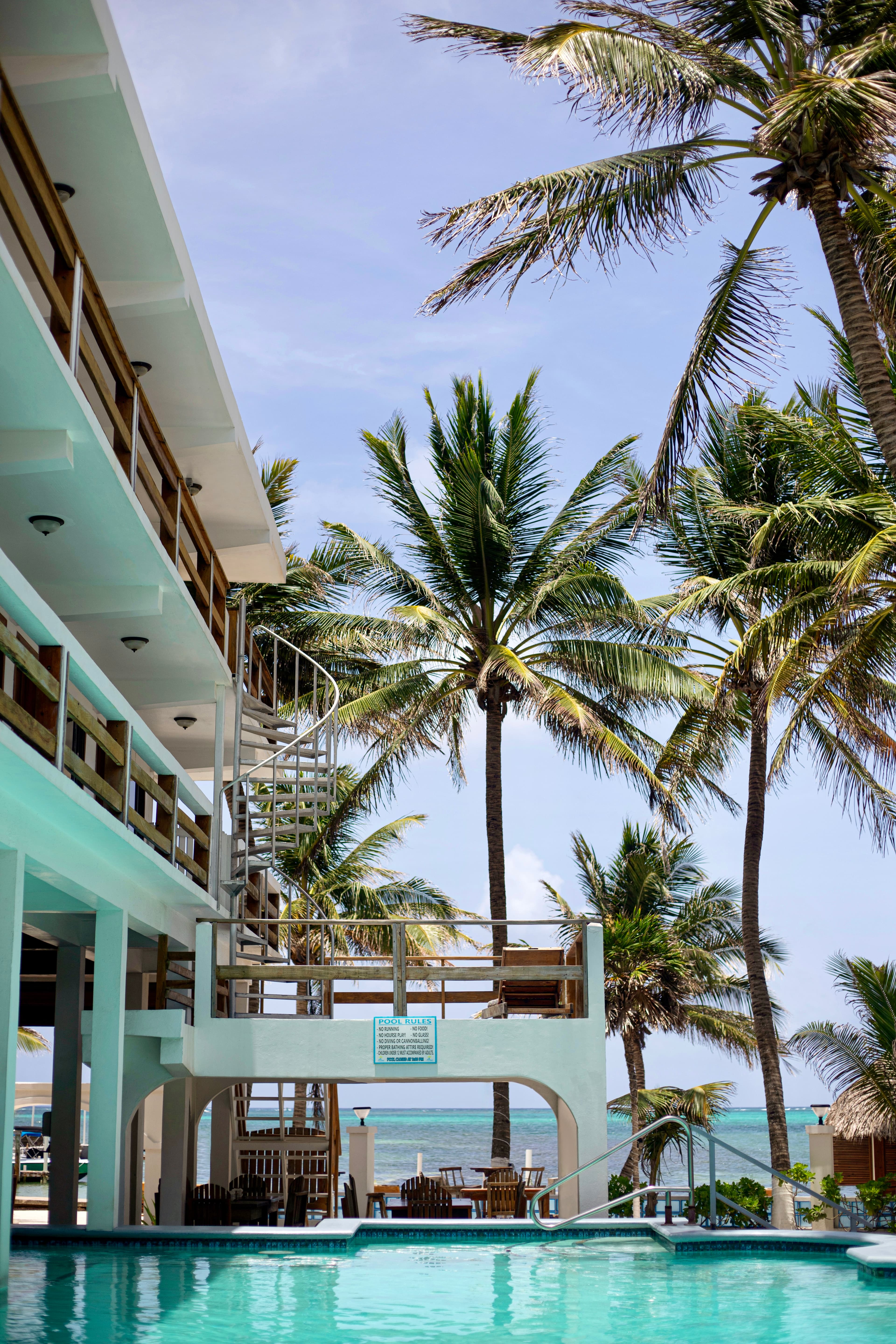 A serene tropical resort with a turquoise pool, surrounded by lush palm trees, offering stunning views of the ocean.