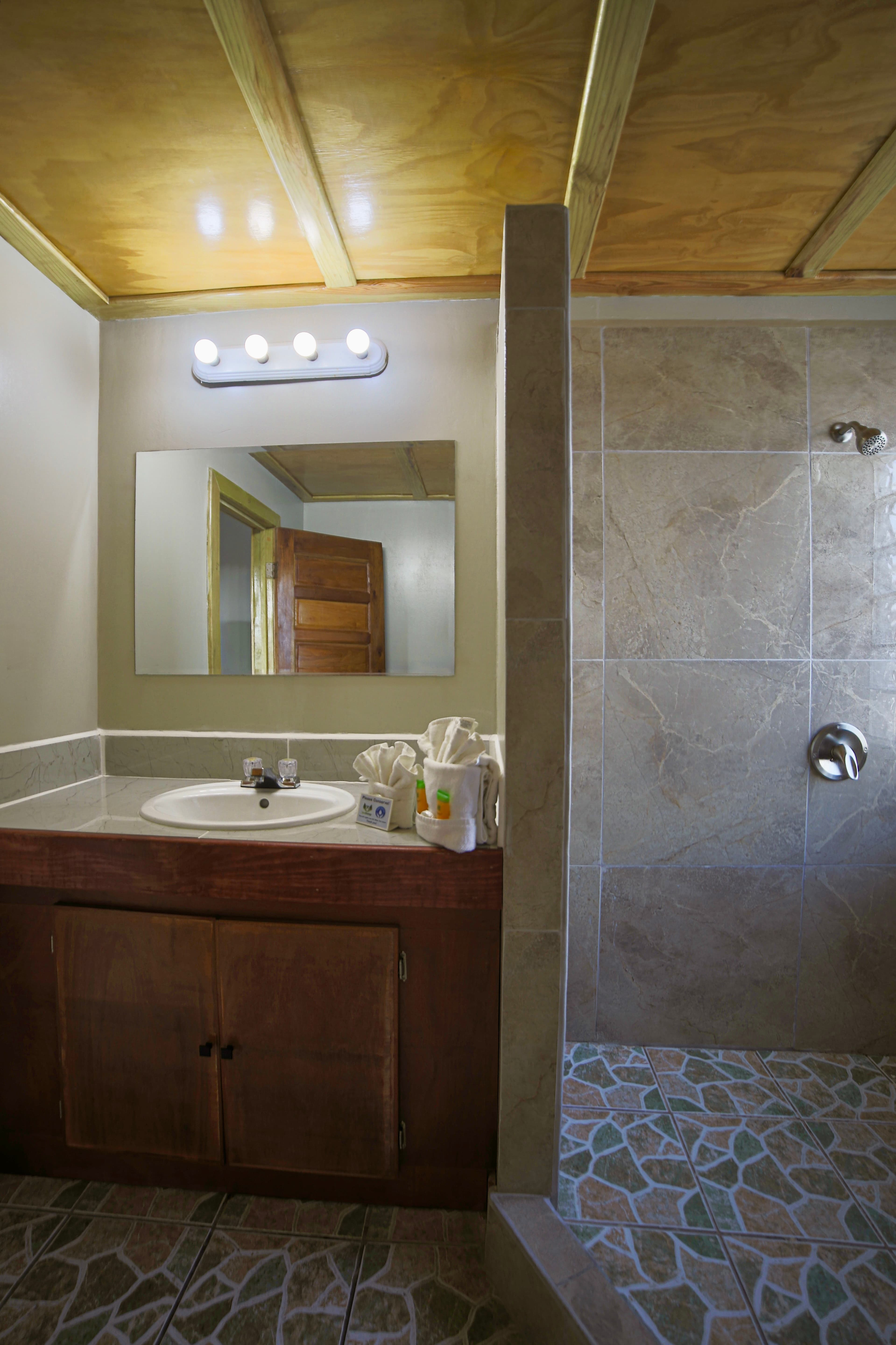 A well-lit bathroom featuring a wooden vanity with a white sink, a mirror, and a spacious walk-in shower with stone-tiled floor.