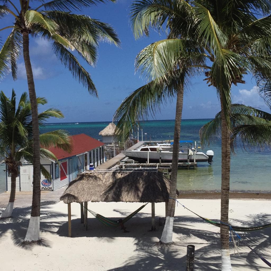 A stunning beach view featuring a pier with a boat, surrounded by palm trees, a thatched cabana with hammock, and calm turquoise waters under a clear blue sky.