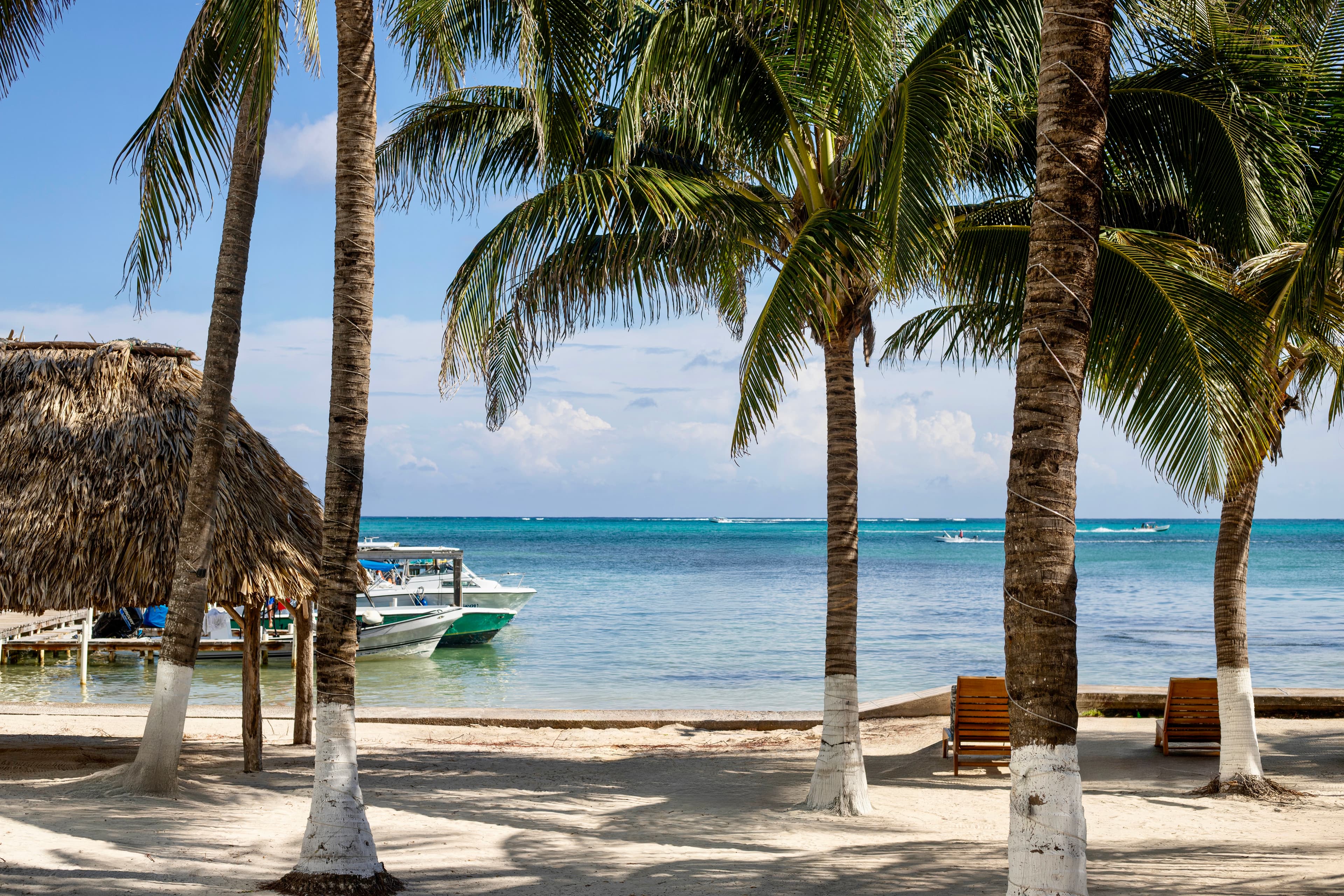 A picturesque tropical beach with tall palm trees, a thatched hut, and a boat docked in the calm turquoise water under a clear sky.