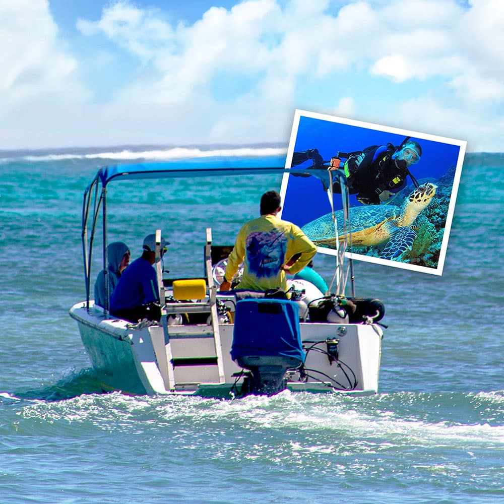 A group of people in a boat on the water with an inset image of a diver swimming beside a sea turtle.