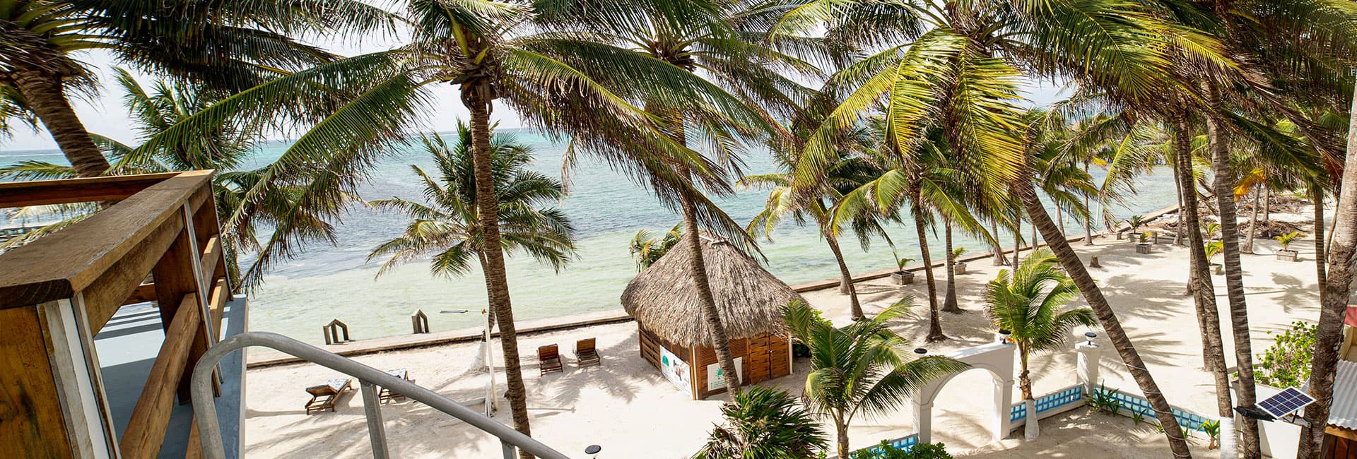 A serene beach view featuring palm trees, a thatched hut, and clear turquoise waters.
